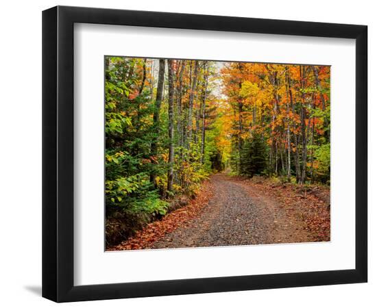 Premium Photographic Print, , large