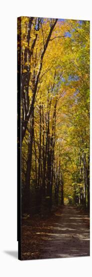 Dirt Road Passing Through a Forest, Sleeping Bear Dunes National Lakeshore, Empire, Michigan, USA-null-Stretched Canvas