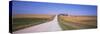 Dirt Road Passing Through Corn Fields, Minnesota, USA-null-Stretched Canvas