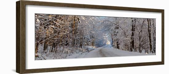 Dirt road passing through snow covered forest, East Hill, Quebec, Canada-null-Framed Photographic Print