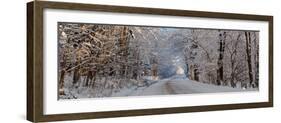 Dirt road passing through snow covered forest, East Hill, Quebec, Canada-null-Framed Photographic Print