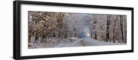 Dirt road passing through snow covered forest, East Hill, Quebec, Canada-null-Framed Photographic Print