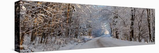 Dirt road passing through snow covered forest, East Hill, Quebec, Canada-null-Stretched Canvas