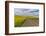 Dirt road through canola fields in Eastern Washington Palouse Country-Darrell Gulin-Framed Photographic Print