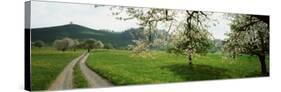 Dirt Road Through Meadow of Dandelions, Zug, Switzerland-null-Stretched Canvas