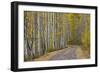 Dirt Road Through Yellow Aspen in the Fall-James Hager-Framed Photographic Print