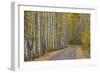 Dirt Road Through Yellow Aspen in the Fall-James Hager-Framed Photographic Print