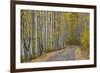 Dirt Road Through Yellow Aspen in the Fall-James Hager-Framed Photographic Print