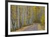 Dirt Road Through Yellow Aspen in the Fall-James Hager-Framed Photographic Print