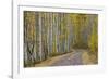 Dirt Road Through Yellow Aspen in the Fall-James Hager-Framed Photographic Print