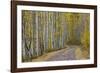 Dirt Road Through Yellow Aspen in the Fall-James Hager-Framed Photographic Print