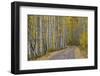 Dirt Road Through Yellow Aspen in the Fall-James Hager-Framed Premium Photographic Print