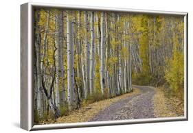 Dirt Road Through Yellow Aspen in the Fall-James Hager-Framed Photographic Print