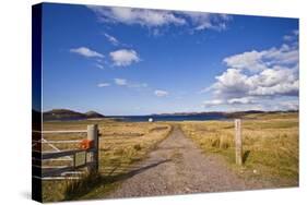 Dirt Track Leading through Fields,Poolewe, Scotland, United Kingdom-Stefano Amantini-Stretched Canvas