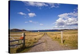 Dirt Track Leading through Fields,Poolewe, Scotland, United Kingdom-Stefano Amantini-Stretched Canvas