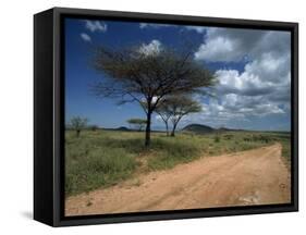 Dirt Track Road and Acacia Trees, Baragoi, Kenya, East Africa, Africa-Dominic Harcourt-webster-Framed Stretched Canvas