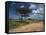 Dirt Track Road and Acacia Trees, Baragoi, Kenya, East Africa, Africa-Dominic Harcourt-webster-Framed Stretched Canvas