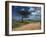 Dirt Track Road and Acacia Trees, Baragoi, Kenya, East Africa, Africa-Dominic Harcourt-webster-Framed Photographic Print