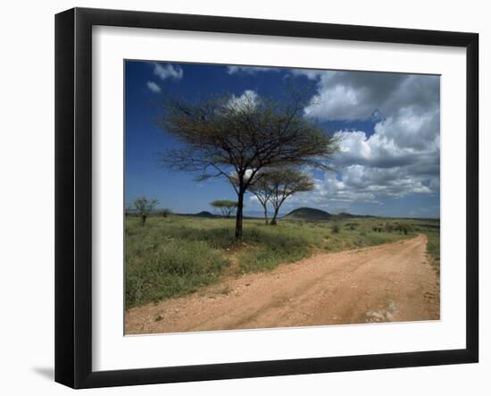 Dirt Track Road and Acacia Trees, Baragoi, Kenya, East Africa, Africa-Dominic Harcourt-webster-Framed Photographic Print