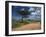 Dirt Track Road and Acacia Trees, Baragoi, Kenya, East Africa, Africa-Dominic Harcourt-webster-Framed Photographic Print