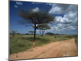 Dirt Track Road and Acacia Trees, Baragoi, Kenya, East Africa, Africa-Dominic Harcourt-webster-Mounted Photographic Print