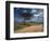 Dirt Track Road and Acacia Trees, Baragoi, Kenya, East Africa, Africa-Dominic Harcourt-webster-Framed Photographic Print