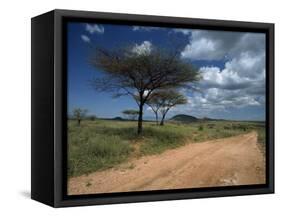 Dirt Track Road and Acacia Trees, Baragoi, Kenya, East Africa, Africa-Dominic Harcourt-webster-Framed Stretched Canvas