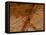 Dirty Chopping Board-Volker Steger-Framed Stretched Canvas