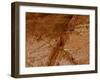 Dirty Chopping Board-Volker Steger-Framed Photographic Print