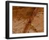 Dirty Chopping Board-Volker Steger-Framed Photographic Print