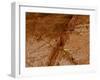 Dirty Chopping Board-Volker Steger-Framed Photographic Print