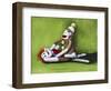 Dirty Socks-Leah Saulnier-Framed Premium Giclee Print