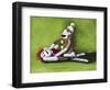 Dirty Socks-Leah Saulnier-Framed Giclee Print