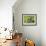 Dirty Socks-Leah Saulnier-Framed Giclee Print displayed on a wall