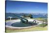 Disappearing Gun and Auckland Skyline-Ian-Stretched Canvas