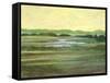 Disappearing-Herb Dickinson-Framed Stretched Canvas