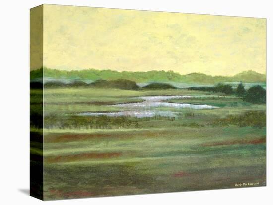 Disappearing-Herb Dickinson-Stretched Canvas