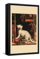 Disappointed Kitten-null-Framed Stretched Canvas