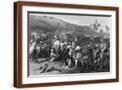Brown Frame