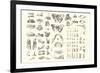 Disarticulated Bones and Teeth-null-Framed Art Print