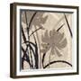 Disc -Botanical Elements 2-Melissa Pluch-Framed Art Print