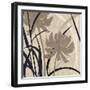 Disc -Botanical Elements 2-Melissa Pluch-Framed Art Print