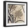 Disc -Botanical Elements 2-Melissa Pluch-Framed Art Print