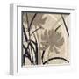 Disc -Botanical Elements 2-Melissa Pluch-Framed Art Print