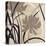 Disc -Botanical Elements 2-Melissa Pluch-Stretched Canvas