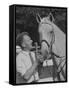 Discarded Farm Horse, Snowman, at Long Island Stable-null-Framed Stretched Canvas