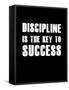 Discipline is the key to Success-null-Framed Stretched Canvas