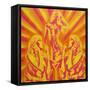 Disco-Abstract Graffiti-Framed Stretched Canvas