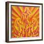 Disco-Abstract Graffiti-Framed Giclee Print