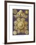 Discomedusae, 1899-1904-null-Framed Giclee Print